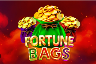 Fortune Bags