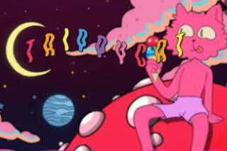 Trippy Cat