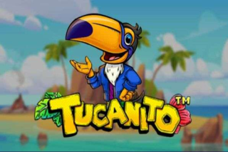 Tucanito