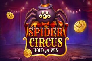 Spider Circus