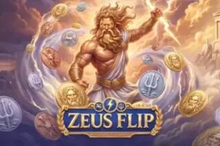 Zeus Flip 