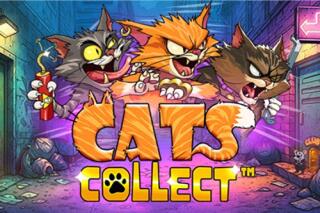 Cats Collect